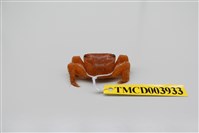 藏品(方形大額蟹)的圖片